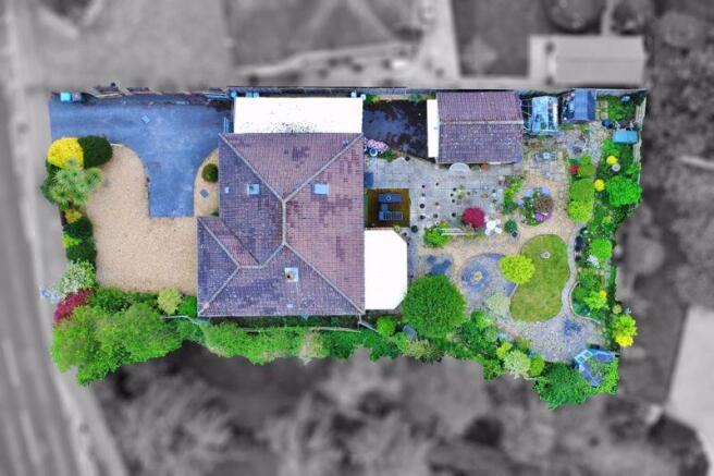 Plot View