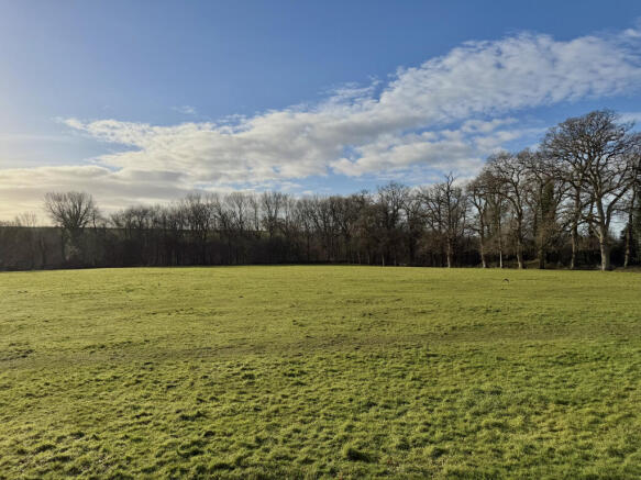 View from the Windows