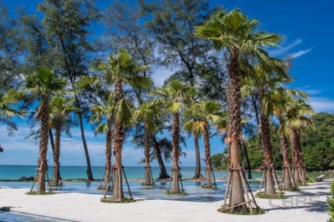 ¿Beachfront pool