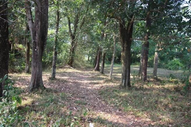 Small land plot - Site