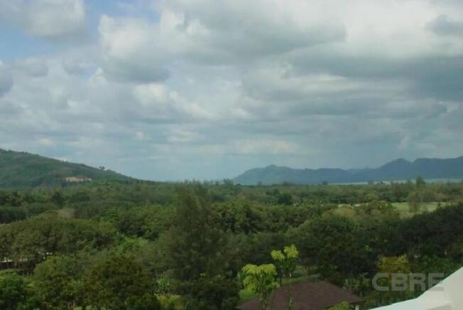 Views from terrace