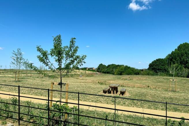 View from plot 10, 11