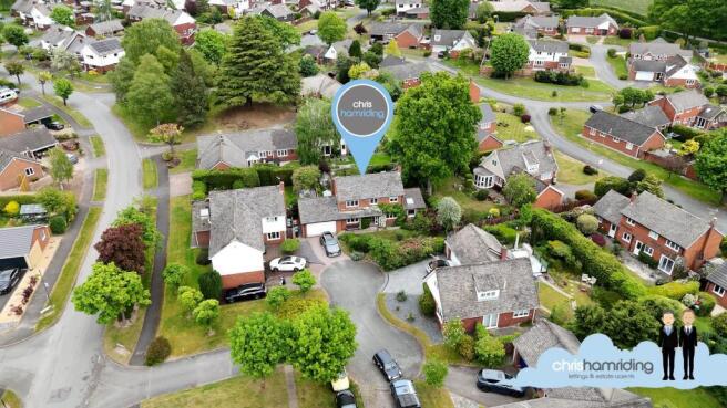 DJI_0099.00_00_17_14.Still131.jpg