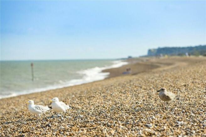 Local Beaches