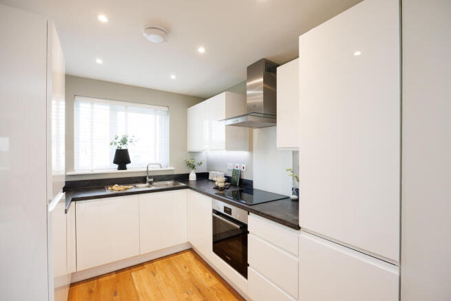 VDSW BH PASTURES ROWAN