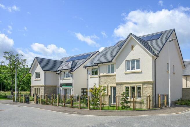 pinefields, livingston