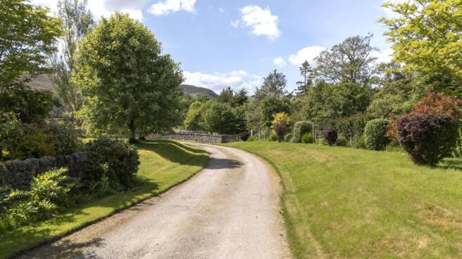 Driveway