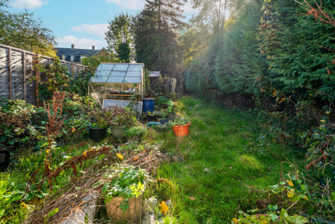 Oak Tree Avenue (1).JPG