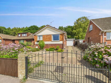 Springfield Drive, Cinderford