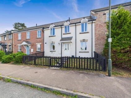 Colliers Field, Cinderford