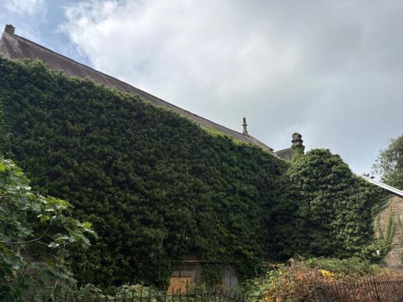 B9bd7529-154a-4f81-91c6-8275d948486b T202509231242.jpeg