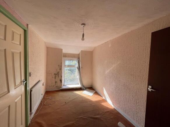 IMG 1575 T202510141504.jpeg