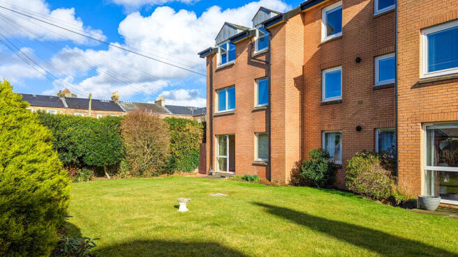 Rear garden 2