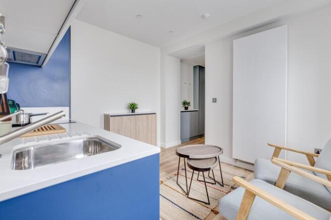 Kitchen/Living Area