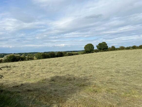 Hay crop (1).jpg