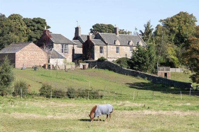 The Haugh