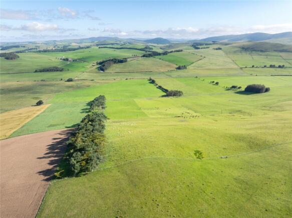 Fields 8, 10