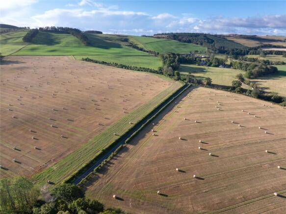 Fields 5 & 6