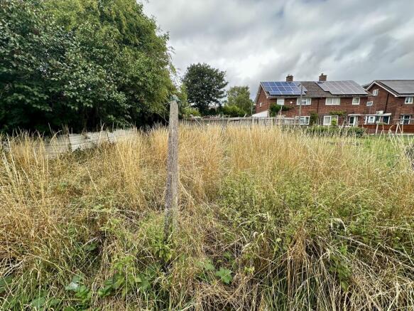 IMG 3051 T202507301138.jpeg