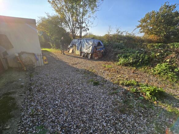 1000318890 T202511101020.jpg