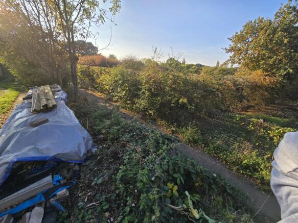 1000318892 T202511101020.jpg