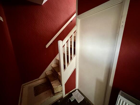 IMG 4334 T202511291245.jpeg