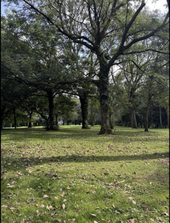 Buille Hill Park