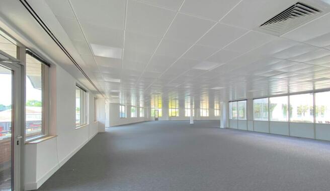 IMG_3477jpg cropped.jpg