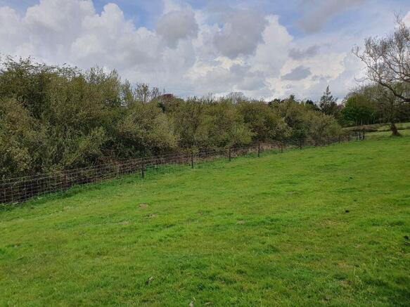 Cattle Fencing