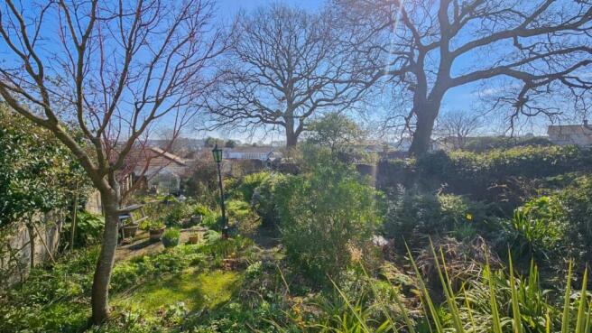 Lrg_thumbnail_20250303_125906-2