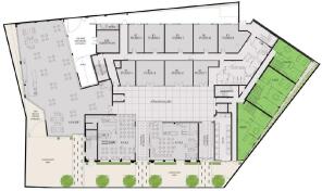Floor/Site plan 1