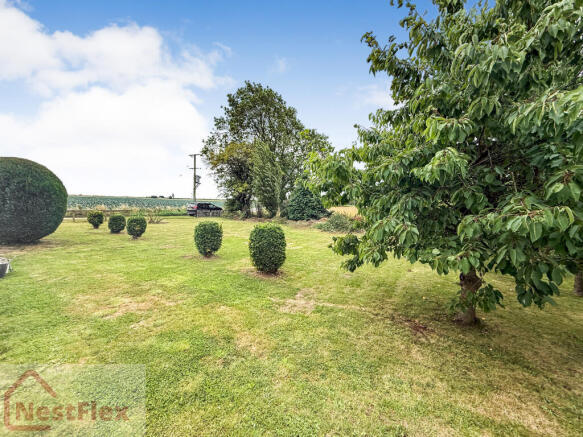 28-07-2025__13-04-24_IMG_9819.NzTeP