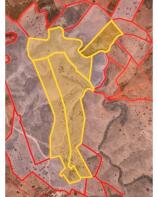 Floor/Site plan 2
