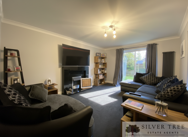 Gemini_Generated_Image_b110z7b110z7b110 (1)