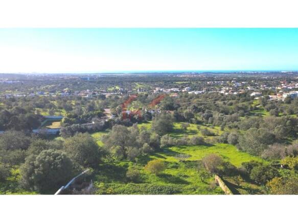 Sights