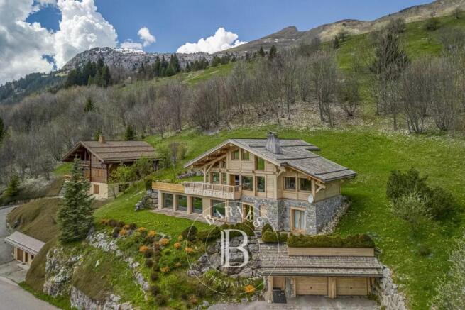 2025/01/15 Chinaillon (Coslin)