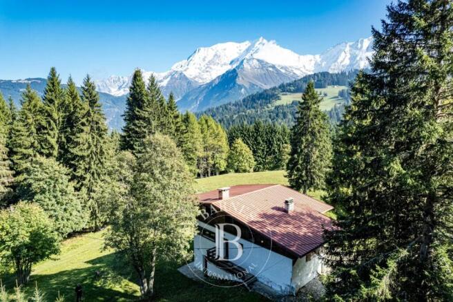 barnes immobilier