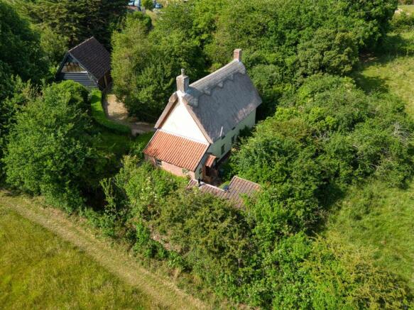 Apple Trees (16).jpg