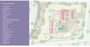 Floor/Site plan 1
