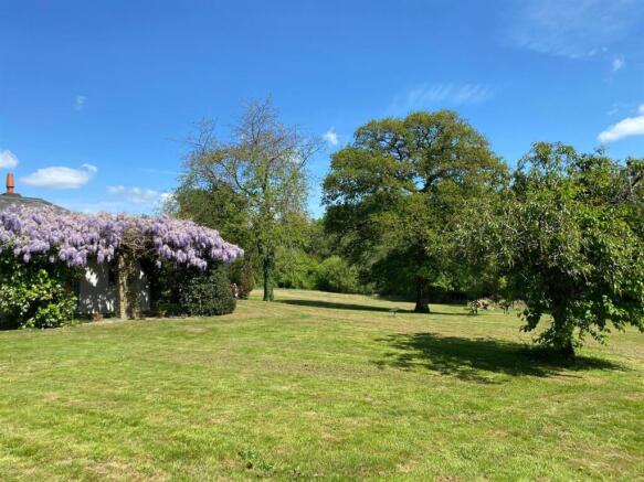 wisteria 3.jpg