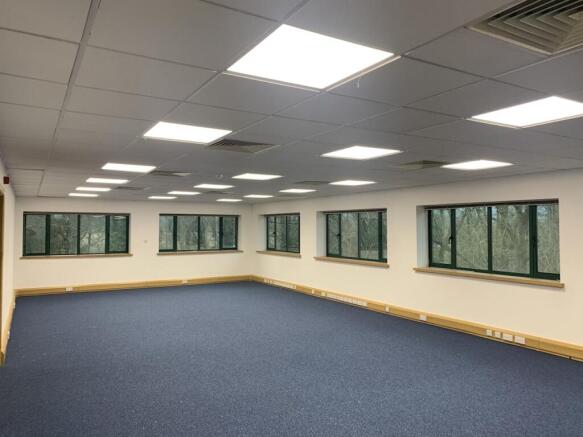 Photo 11122024 14 18 20.jpg