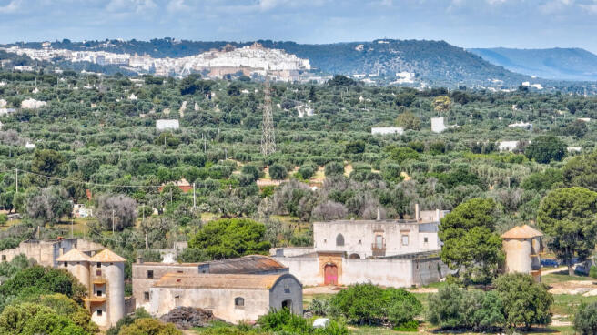 9_Masseria Specchia_Carovigno-Ostuni_PugliaRaro_Realty