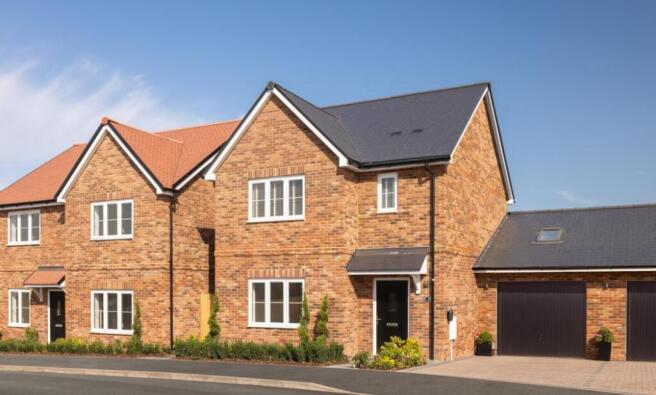 Dandara - Fortuna Fields - The Frogmore, Home 47