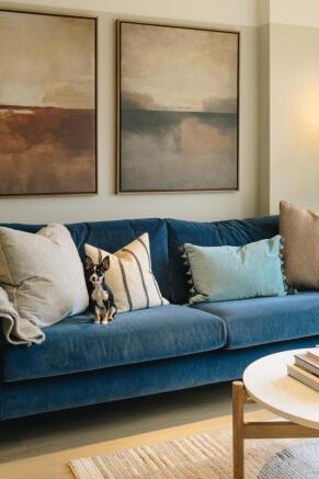 Sofa Dog
