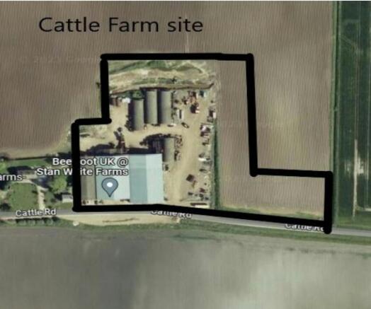 Cattle farm photo.jpg