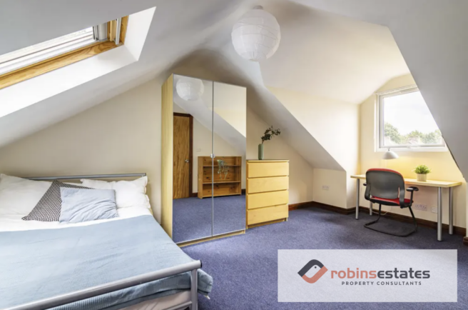 Screenshot 2025-03-1