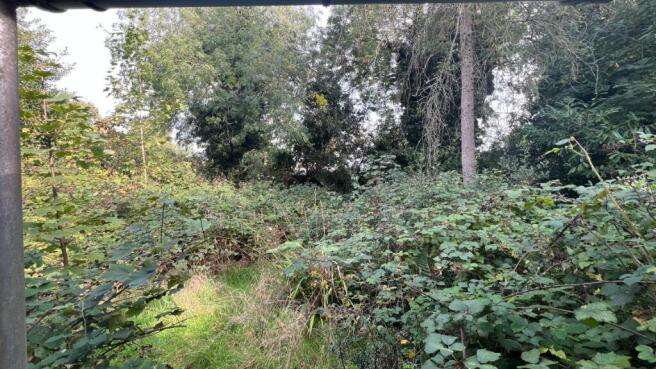 View to end of Plot