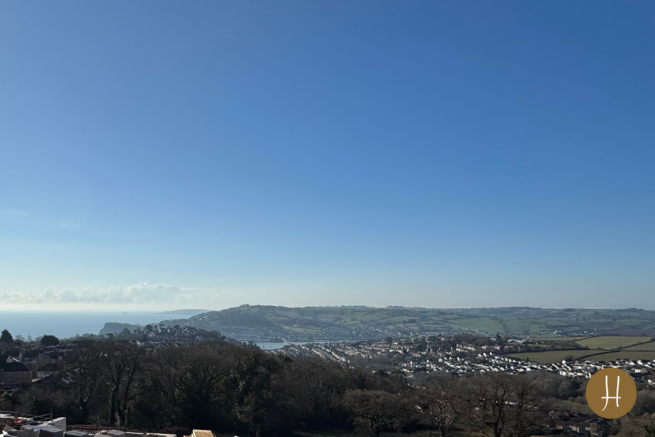 The View