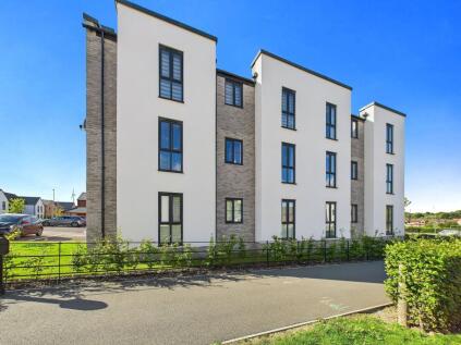 Broomhill Avenue, Waverley, S60