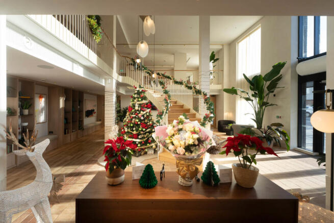 2025 12 13 1312 Mickey LF Lee MX33729 Midres